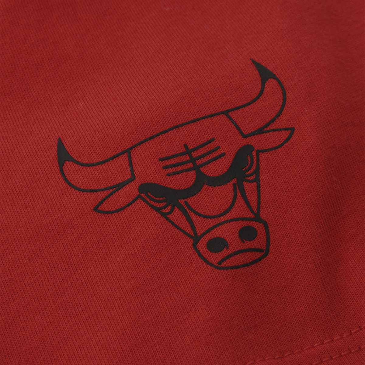 Remera Jordan Chicago Bulls Essential Hombre,  image number null