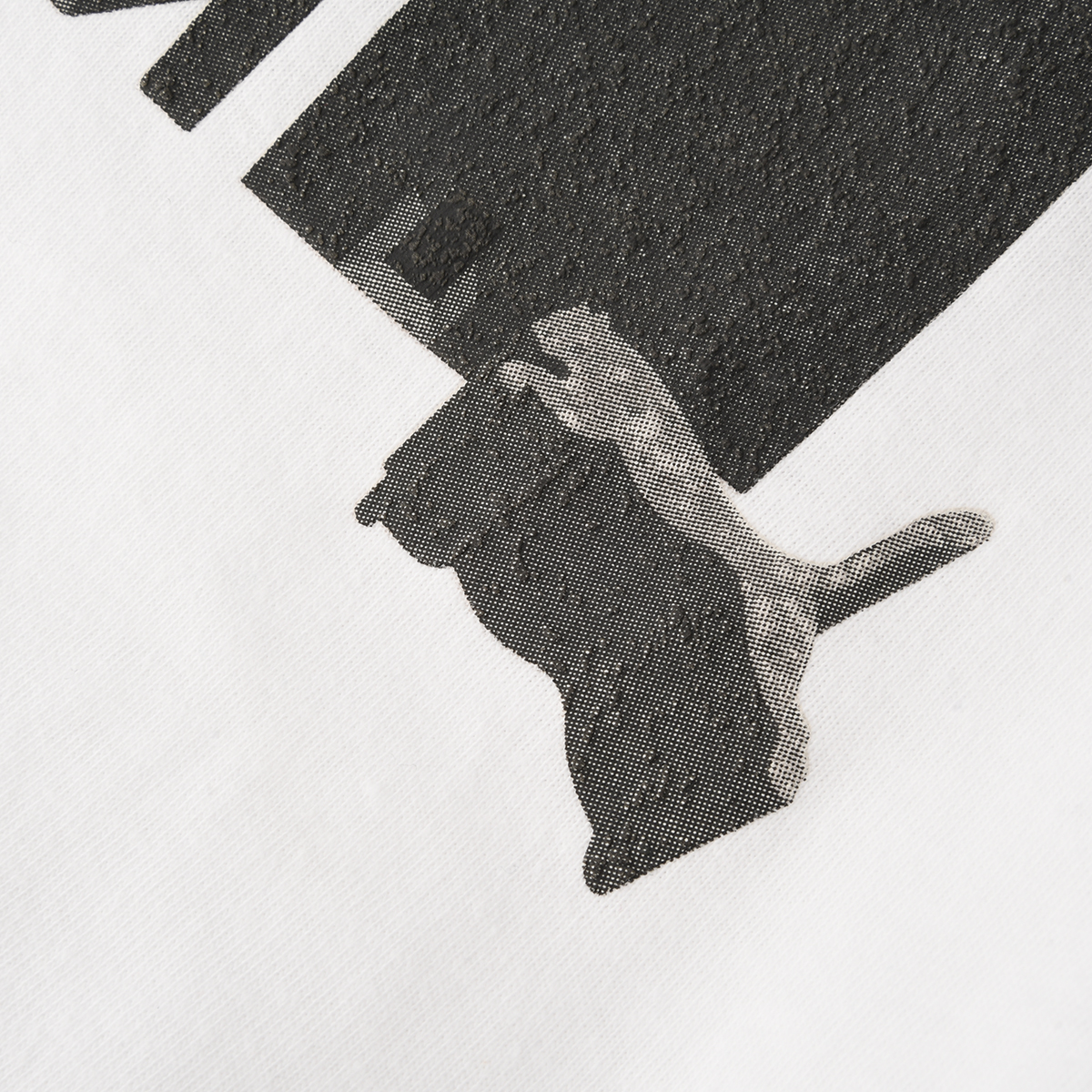 Remera Puma X Squid Game Graphic Hombre,  image number null