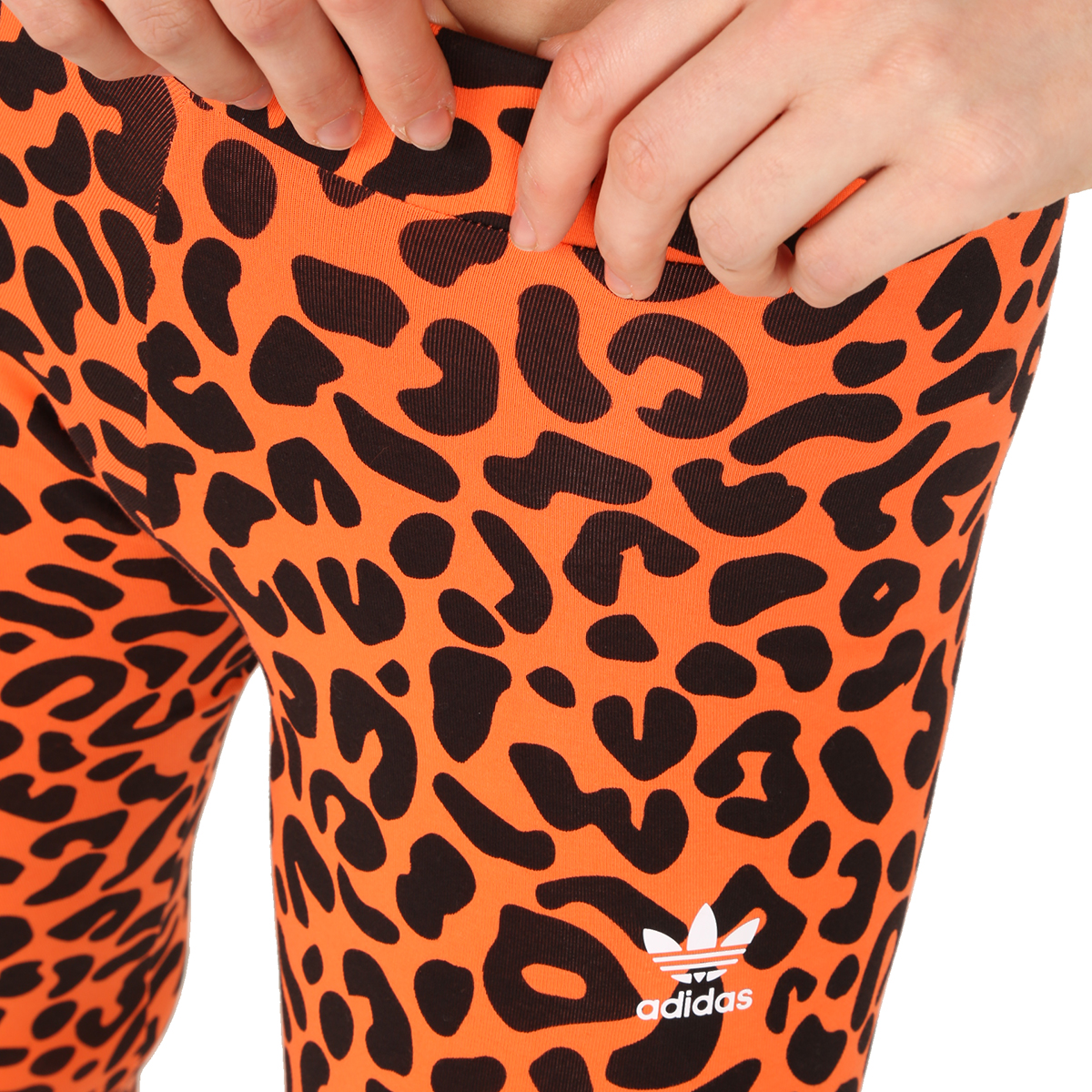 Calza adidas Tight,  image number null