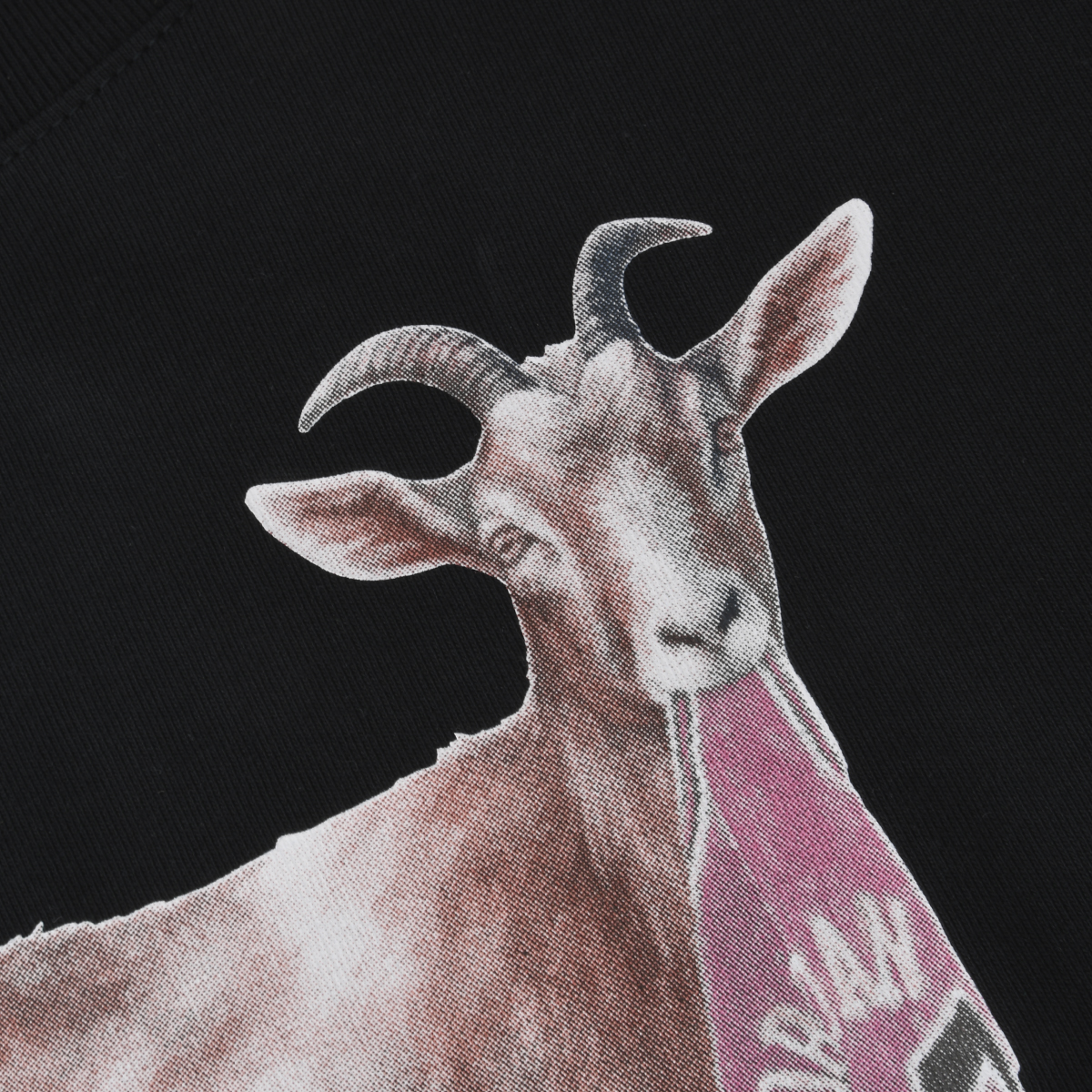 Remera Jordan Goat Hombre,  image number null