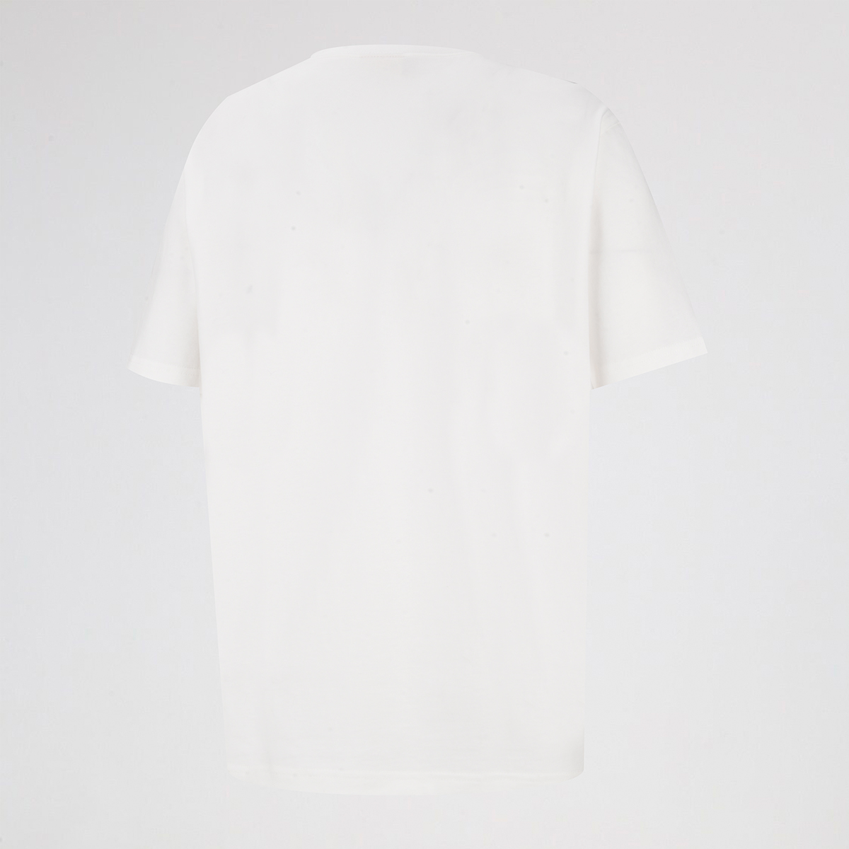 Remera Champion Logo Algod&oacute;n Hombre,  image number null