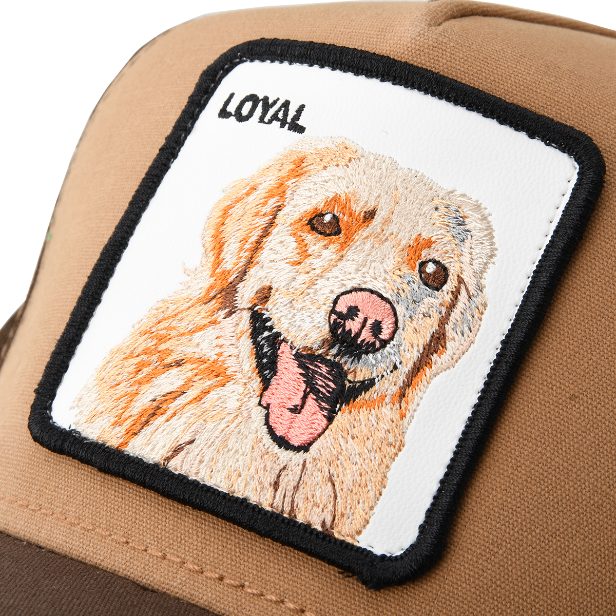 Gorra Goorin The Loyal Dog,  image number null