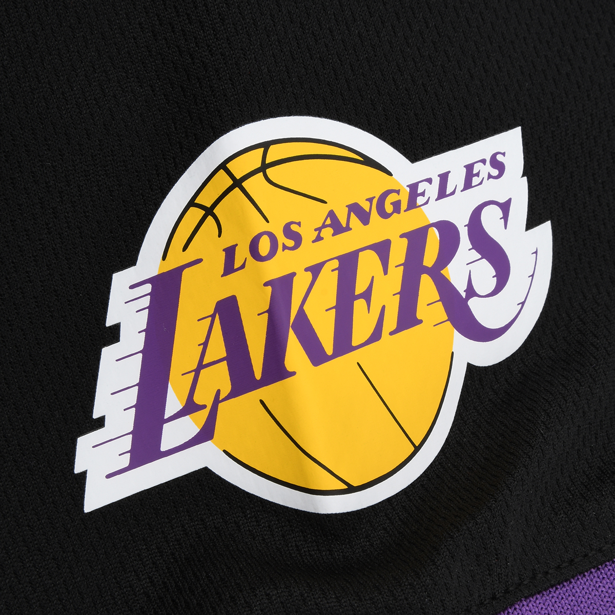 Remera Nba Los Angeles Lakers Primary Team Logo Basic Hombre,  image number null