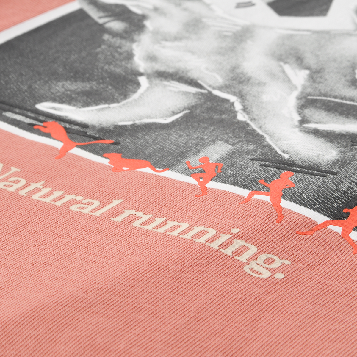 Remera Puma Club De Course Graphic,  image number null