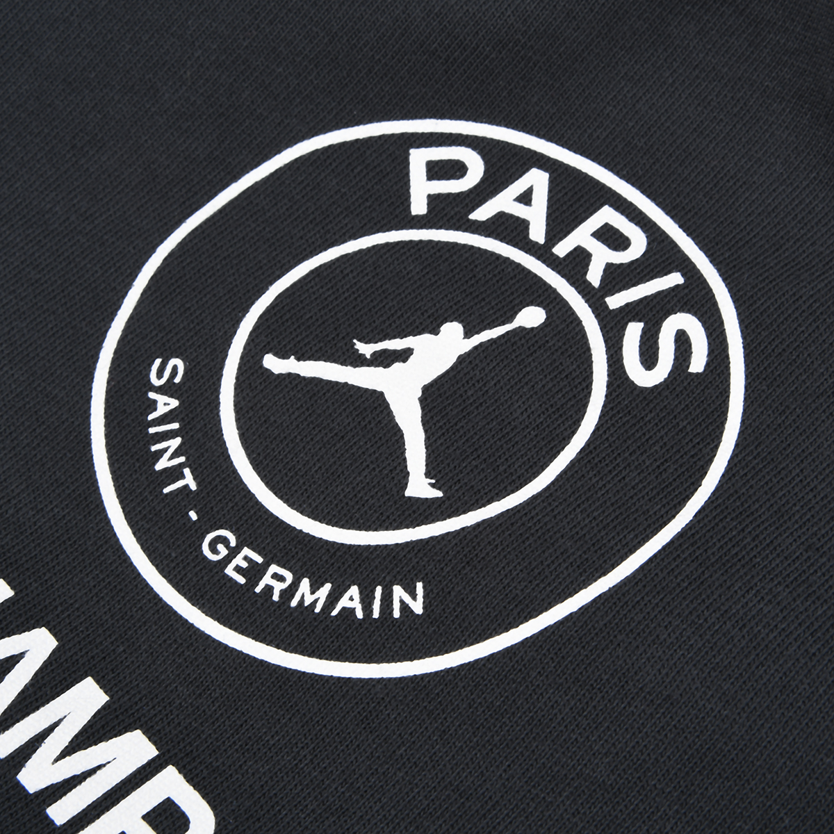 Remera Jordan Paris Saint-Germain Graphic Hombre,  image number null