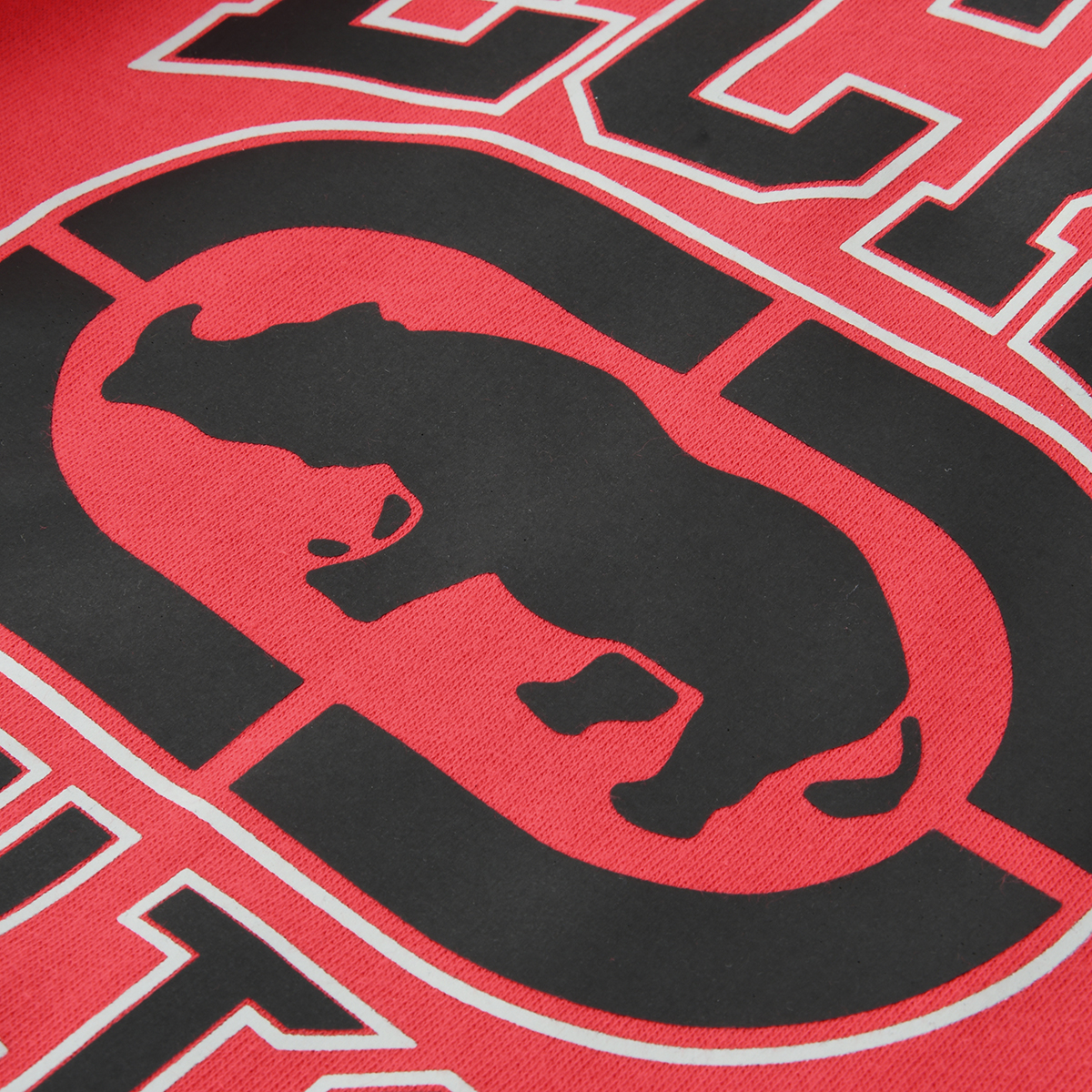 Buzo Ecko Ssh Insti V26 Logo,  image number null