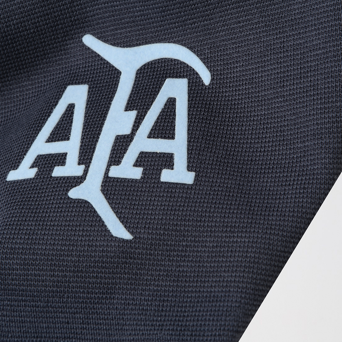Remera adidas Argentina Aniversario 24/25 Hombre,  image number null