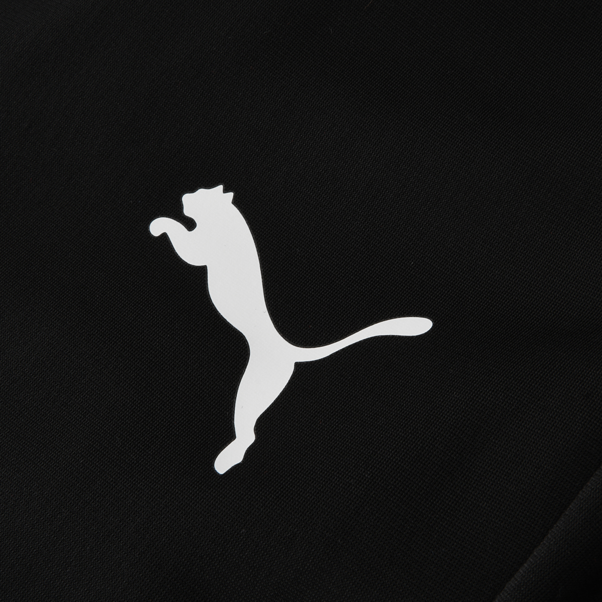 Conjunto Entrenamiento Puma Individual Rise Hombre,  image number null