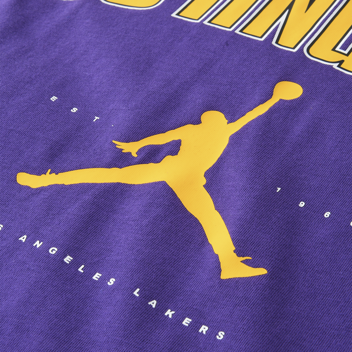 Remera Nike Los Angeles Lakers Essential Hombre,  image number null