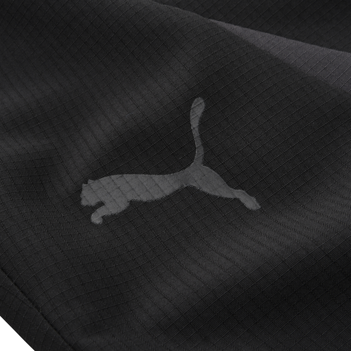Pantalón Puma Mapf 1 Statement Hombre,  image number null