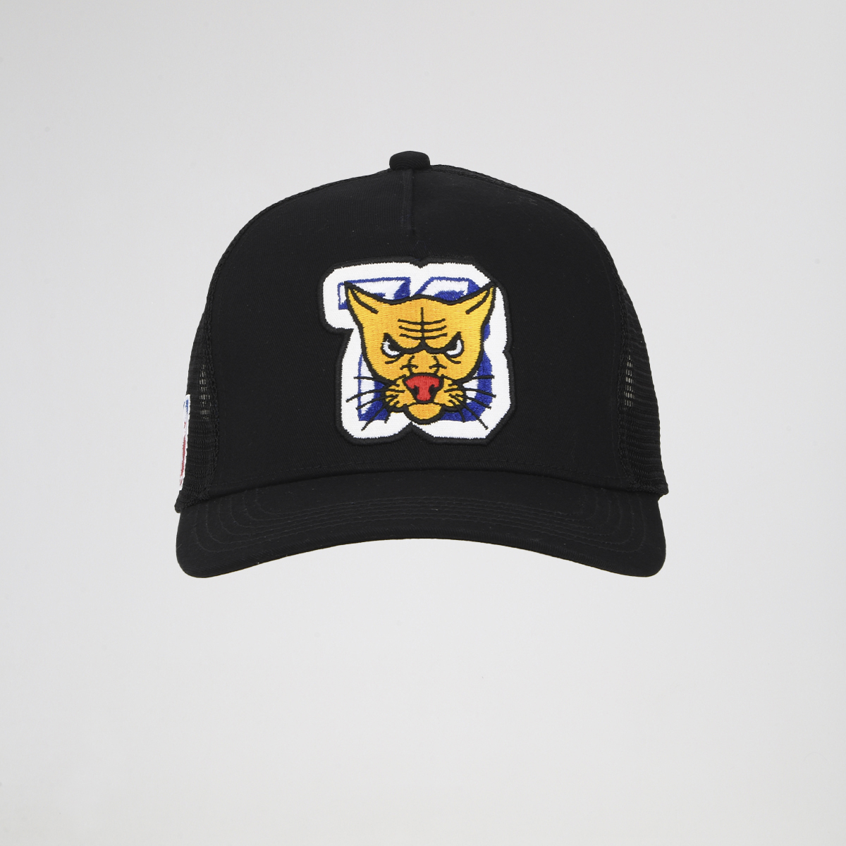Gorra Puma Basketball,  image number null